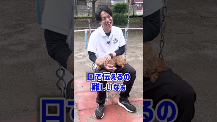 【犬しつけ】抱っこで噛んでくる！