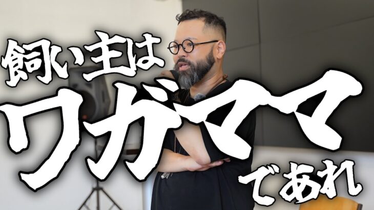 【犬のしつけ】人に興味津々で飛びついていく犬をどうコントロールするのか