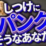 【犬のしつけ】どれから始めたらいいのか分からない時、まずは“コレ”から見直してみて下さい！
