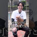 【犬しつけ】犬のテリトリー意識とは？