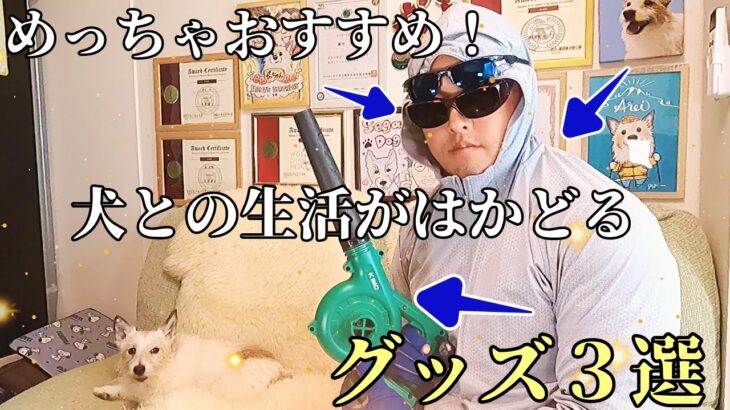 耳寄りな情報！使える犬「以外」のグッズ３選