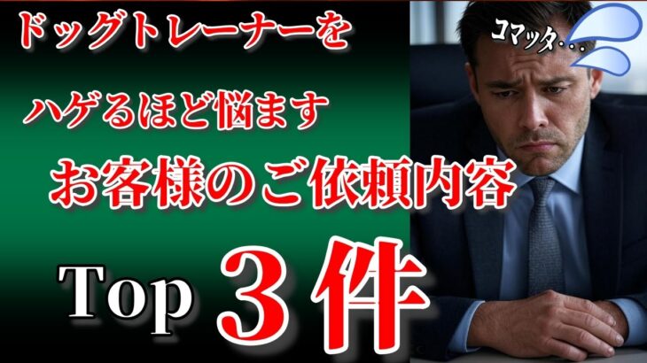【裏事情】プロのドッグトレーナーがハゲてしまうほど悩むしつけ相談