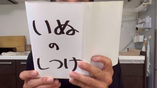 柴犬と人間の芝居『いぬのしつけ』　#柴犬　#柴犬とん