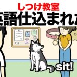犬をしつけ教室に預けたら言うこと聞かなくなった【アニメ】【コント】