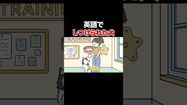 英語でしつけられた犬【アニメ】【コント】 #アニメコント #コント