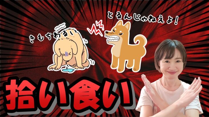 犬の拾い食いは超危険！やめさせるために日頃の練習で拾い食いを防ぎましょう