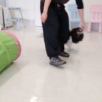 犬の幼稚園 トイちゃんとトレーニング