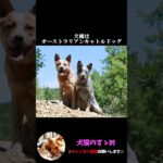 【世界一長寿の犬とは？】140歳って本当！？ #ゆっくり解説  ＃しつけ #心理学 #犬のいる生活  #愛犬