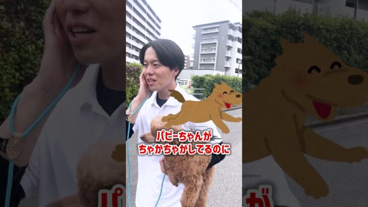【犬しつけ】2頭目を迎えたい…