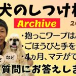 犬のしつけ相談ライブ☆ゲリラライブ【アーカイブ 2025.08.06】