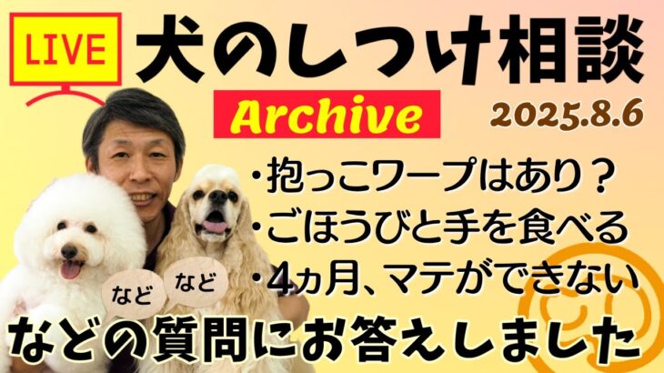 犬のしつけ相談ライブ☆ゲリラライブ【アーカイブ 2025.08.06】