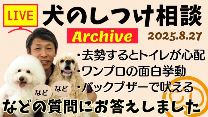 犬のしつけ相談ライブ☆ゲリラライブ【アーカイブ 2025/08/27】