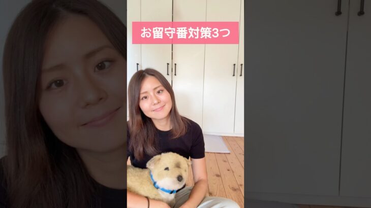 【犬】お留守番 対策できること3つ #ドッグトレーナー #ドッグトレーニング #犬のいる暮らし #いぬのいる生活 #犬との暮らし #お留守番 #分離不安 #いぬ #犬好き