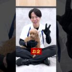 【犬しつけ】犬を飼う人へ！これは押さえてほしい3点！