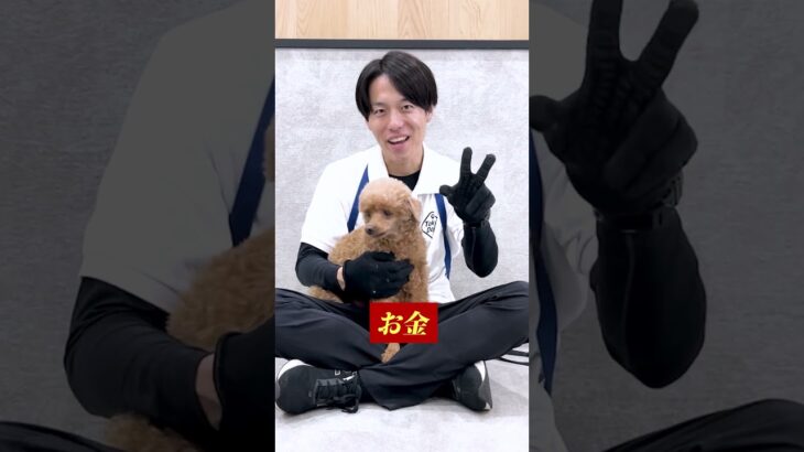 【犬しつけ】犬を飼う人へ！これは押さえてほしい3点！