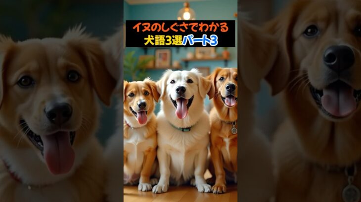【犬語!?】愛犬ともっと仲良くなれる…犬が送る秘密のメッセージ3選パート3　 #犬の行動 #犬のしつけ # #犬語 #犬との暮らし#犬の気持ち #雑学
