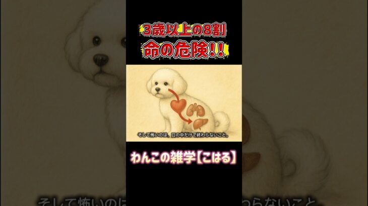 犬の歯周病は3歳以上で8割が発症。放置すると内臓にも悪影響…毎日のケアで愛犬の健康寿命を守ろう🐶#犬の歯周病 #犬の健康 #犬のしつけ #犬の雑学 #犬好きさんと繋がりたい #犬の気持ち　　