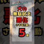 絶対にこれやっちゃダメ！犬の無駄吠えを悪化させる行動5選 #犬のしつけ #犬の雑学  #犬の心理 #要求吠え
