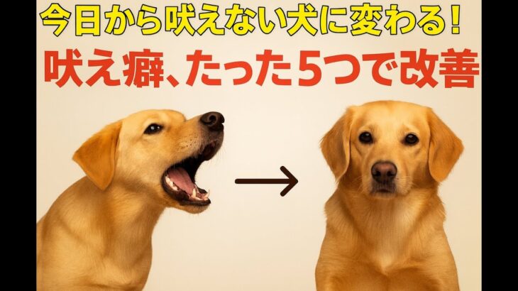 吠え続ける犬が“静かになる”…5つのしつけ術を獣医師が解説！初心者でも今日からできる！