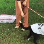 第6回犬のしつけ教室③