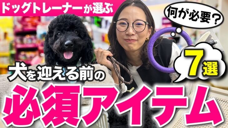 ドッグトレーナーが本気で選んだ！犬を迎える時に揃えるべきグッズ7選