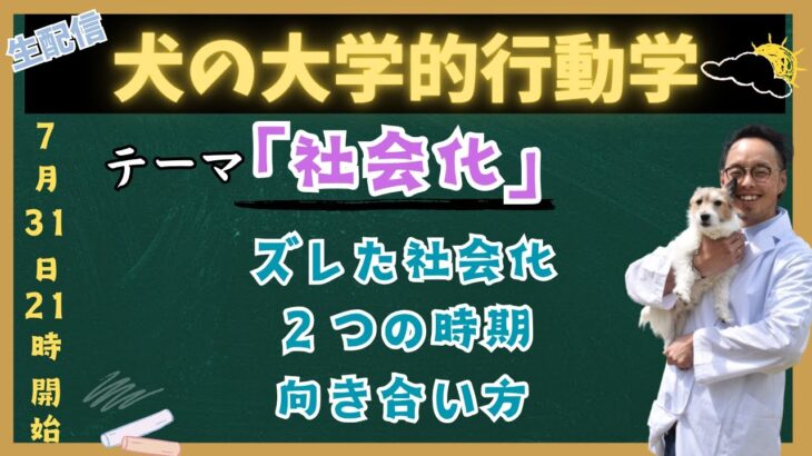 7/31生配信！正しい「犬の社会化」を徹底解説