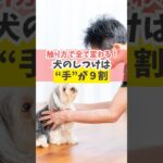 触り方ひとつで激変♪犬のしつけは“手”が9割#犬のいる暮らし #dog #shorts