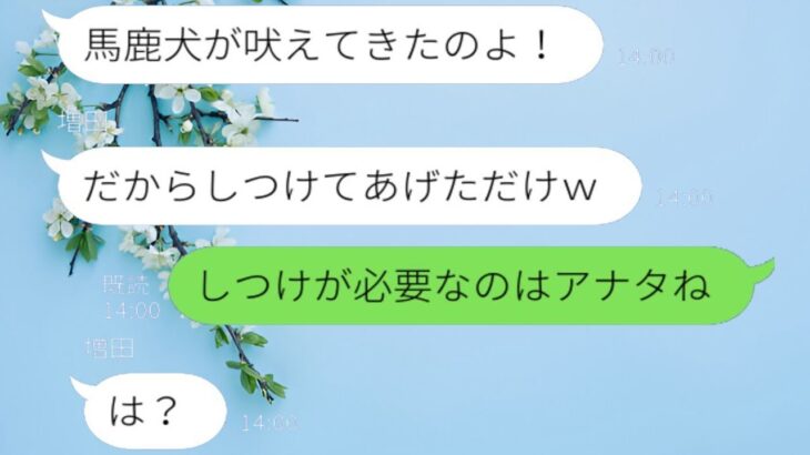 「しつけ済みｗ」うちの犬が鳴くたびにイライラして蹴っ飛ばすDQNママ友→逆に犬に教えられることになるｗｗｗ
