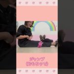 ＃犬のようちえん　＃犬のほいくえん　＃犬お泊りトレーニング　　#子犬しつけ  #しつけ教室 　#ヨークシャーテリア  　＃犬のしつけ　#shorts 　#パピートレーニング
