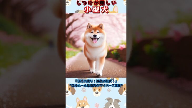 #shorts【ランキング】しつけの難しい小型犬