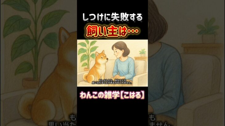 しつけの失敗は犬のせいじゃないかも？失敗しやすい飼い主と原因、対策を解説🐾#犬のしつけ #飼い主あるある #犬の雑学 #愛犬との暮らし #犬好きさんと繋がりたい #犬の気持ち #ドッグトレーニング