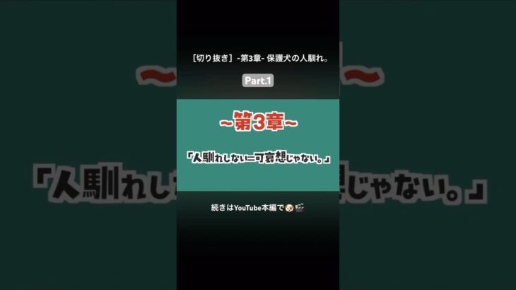 人馴れしてないと可哀想なの？ #保護犬 #野犬 #人馴れ #しつけ #疑問 #犬の安全基地 #いぬきち