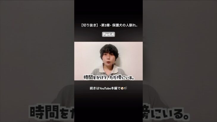 時間をかけて、ただ側にいる。 #信頼関係 #保護犬 #人馴れ #ゆっくり #しつけ #逆効果 #犬の安全基地 #いぬきち