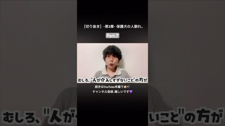 “何もしない”って案外難しい。 #人馴れ #保護犬 #見守り #愛情 #犬のいる暮らし #野犬 #トレーニング #しつけ #犬の安全基地 #いぬきち