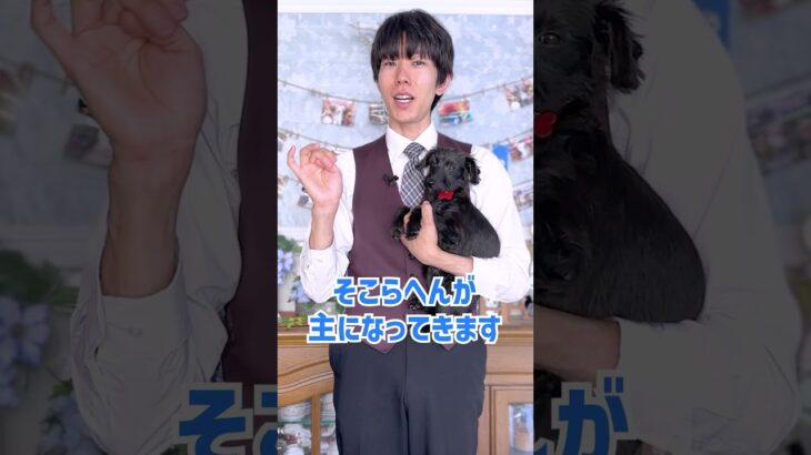 【犬の質問】ワンちゃんを迎え入れてすぐに何を用意するべきですか？