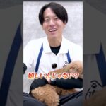【犬しつけ】褒めてるって伝わってる？