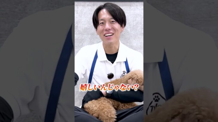 【犬しつけ】褒めてるって伝わってる？