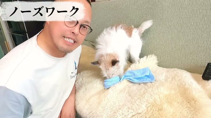 犬のしつけにＡＩは使えるか検証