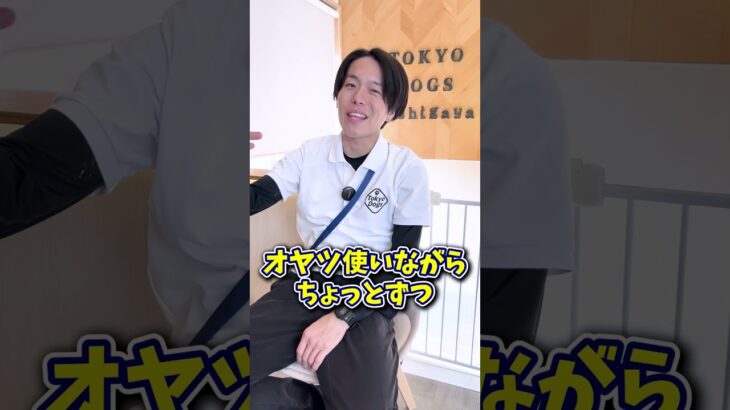 【犬しつけ】首輪を嫌がる犬はどうすればいい？