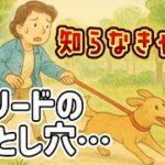 犬のしつけ、実は間違ってた！？｜リードの引っ張りがもたらす思わぬ落とし穴とは