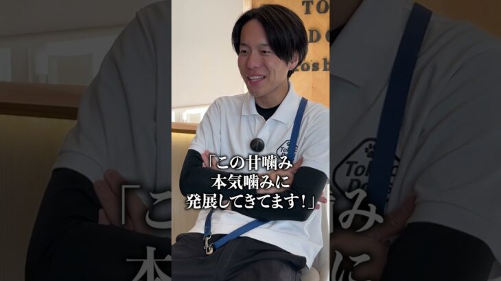 【犬しつけ】甘噛みがいつしか本気噛みに！？