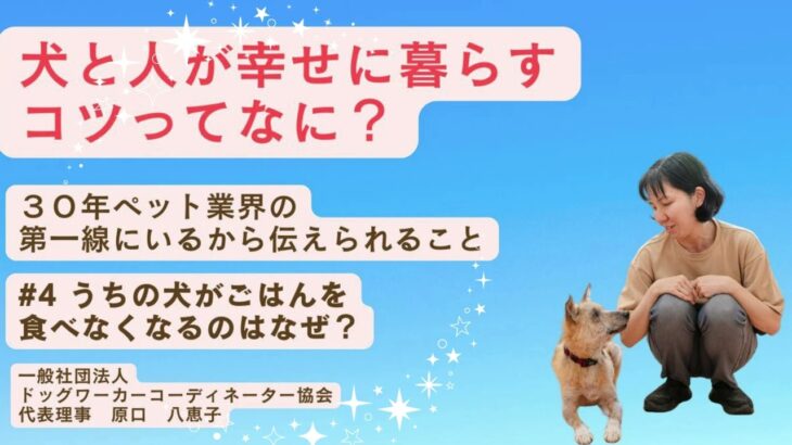 うちの犬がごはんを食べなくなったのはなぜ？