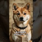 消えかけた日本犬を救った人々 ― 柴犬存続の奇跡