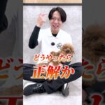 【犬しつけ】犬に考えさせる？