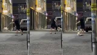 犬をリードで振り回す「しつけ」という虐待映像…韓国・衝撃映像に怒りと悲しみ