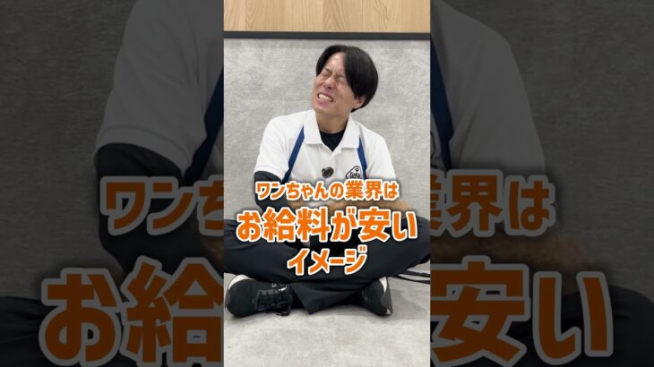 【犬しつけ】ドッグトレーナーって稼げるの？