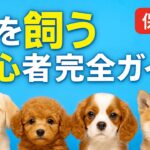 【保存版】犬を飼う初心者完全ガイド｜後悔しないための必須知識と準備まとめ
