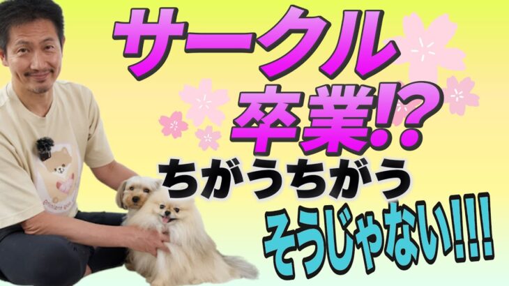 サークル卒業は本当に必要？犬の気持ちを考えよう！