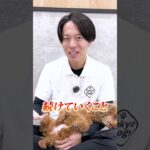 【犬しつけ】しつけに疲れた…