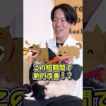 【犬しつけ】しつけは長期戦！大事なマインド